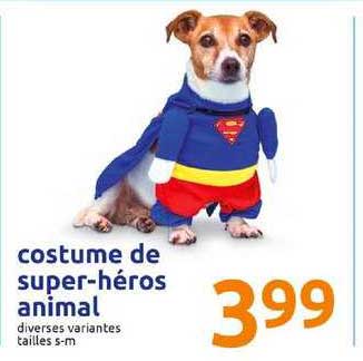 costume de super héros animal