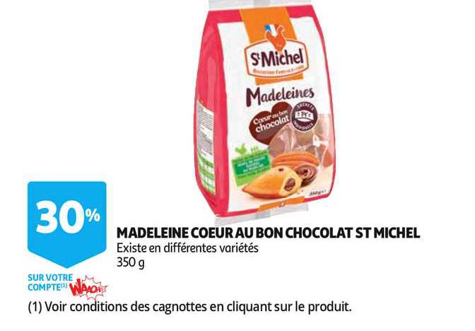 Madeleine Coeur Au Bon Chocolat St Michel