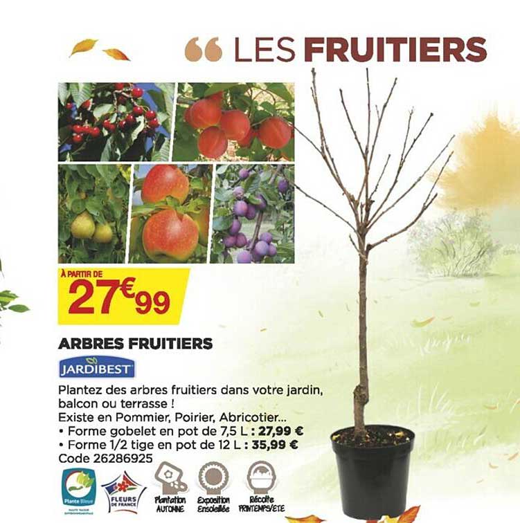 Arbres Fruitiers Jardibest