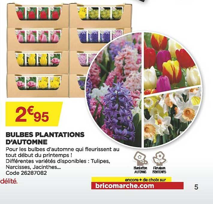 bulbes plantations d'automne
