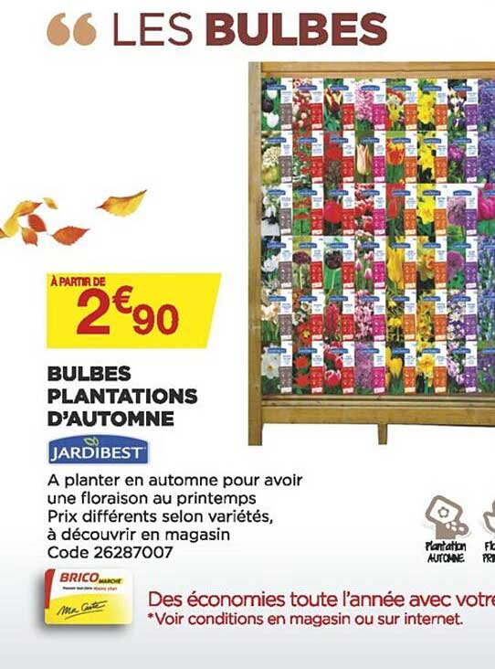 bulbes plantations d'automne jardibest