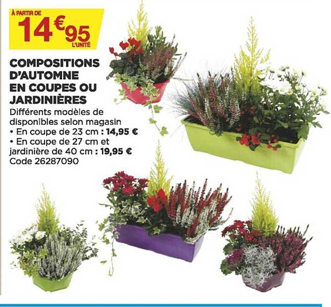 compositions d'automne en coupes ou jardinières