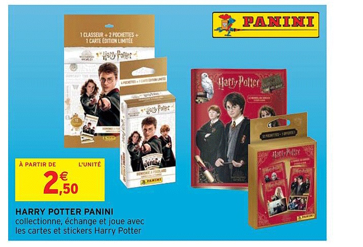 harry potter panini