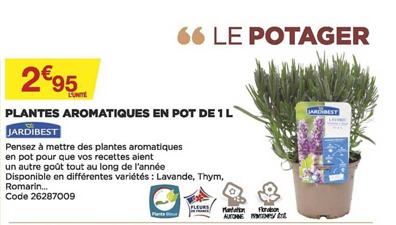 plantes aromatiques en pot de 1 l jardibest