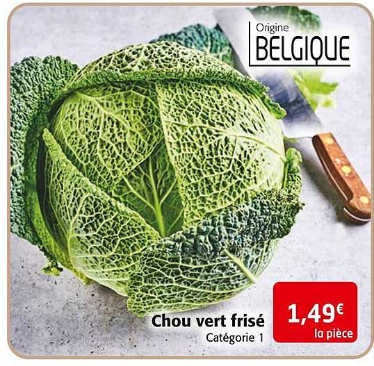 chou vert frisé