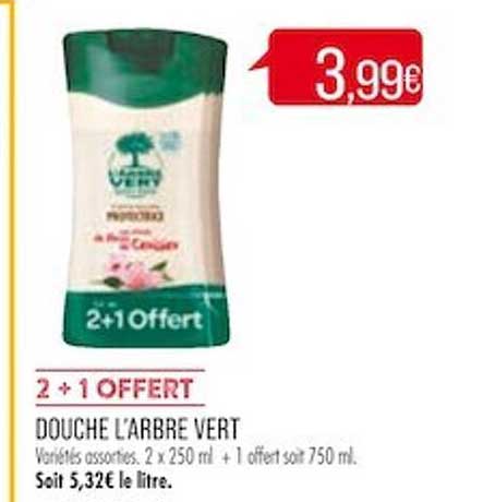 Douche L'arbre Vert