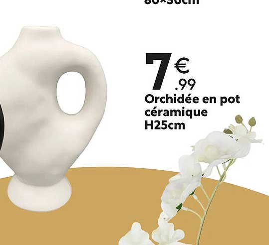 orchidée en pot céramique h25 cm