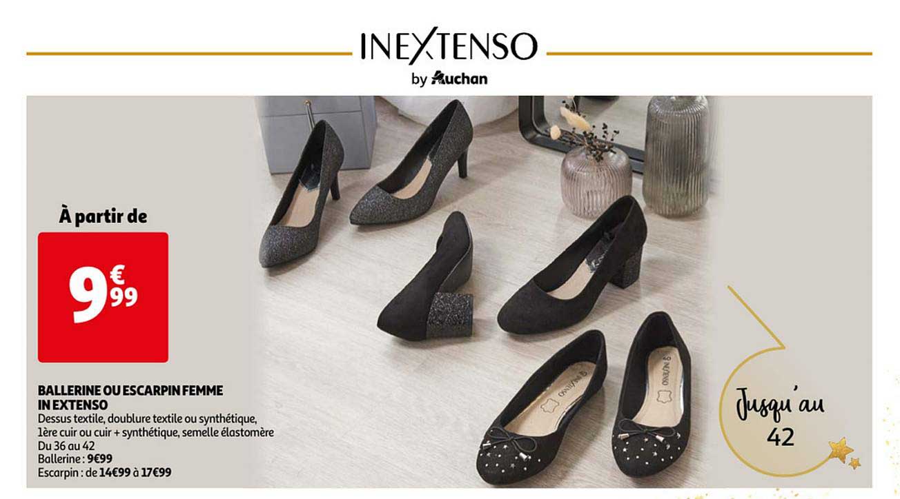 ballerine ou escarpin femme in extenso