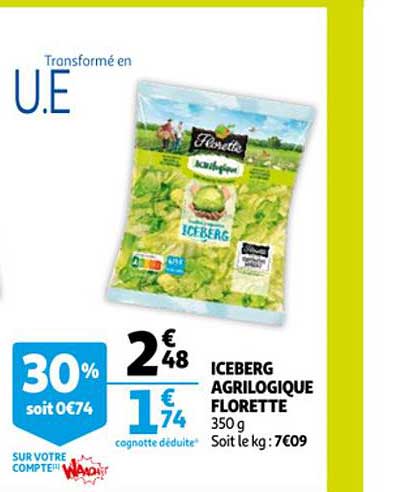 Iceberg Agrilogique Florette