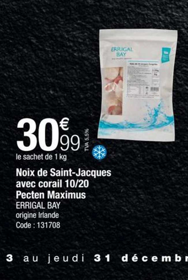 noix de saint-jacques avec corail 10-20  pecten maximus errigal bay