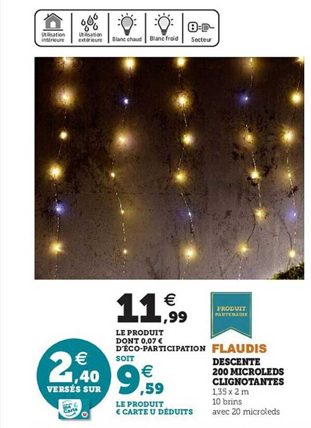 descente 200 microleds clignotantes flaudis