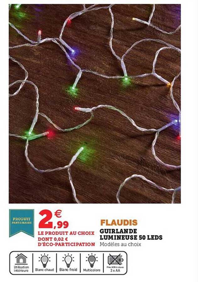 guirlande lumineuse 50 leds flaudis