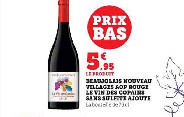 beaujolais nouveau villages aop rouge le vin des copains sans sulfite ajouté