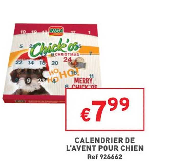 calendrier de l'avent pour chien