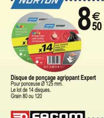 disque de ponçage agrippant expert