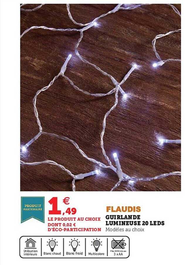 guirlande lumineuse 20 leds flaudis