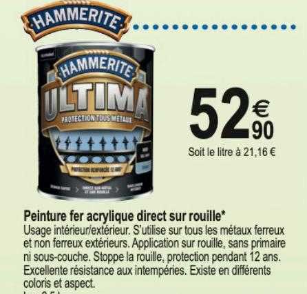 peinture fer acrylique direct sur rouille