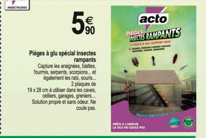 pièges à glu spécial insectes rampants