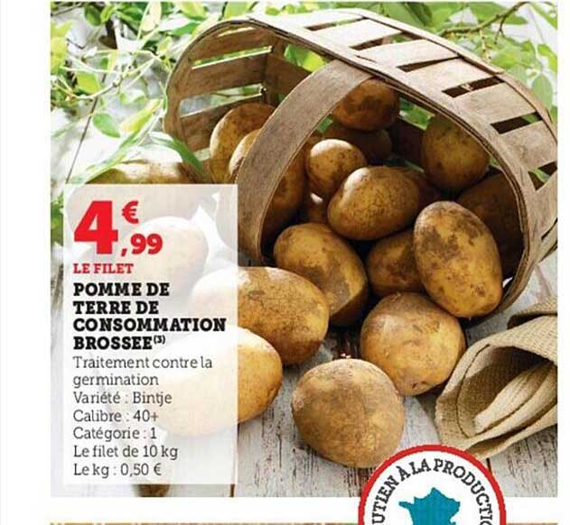 Pomme De Terre De Consommation Brossée