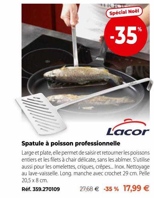 Spatule à Poisson Professionnelle Lacor