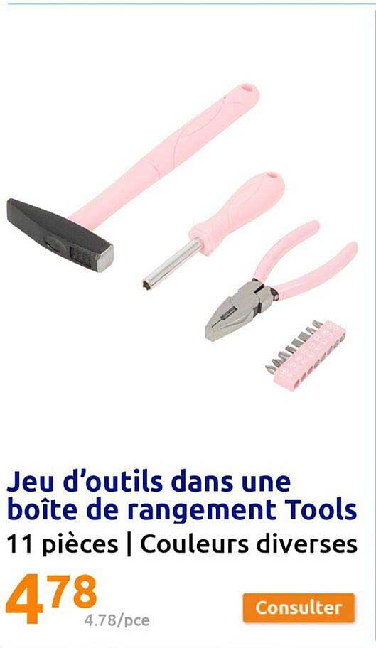 jeu d'outils dans une boîte de rangement tools