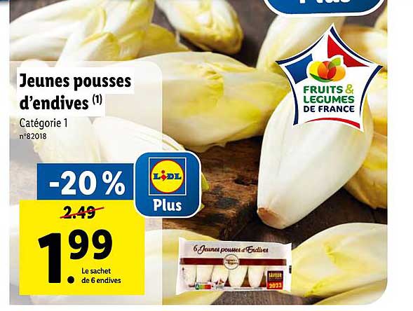 jeunes pousses d'endives