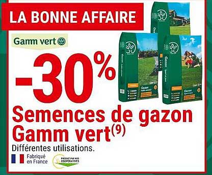 semences de gazon gamm vert