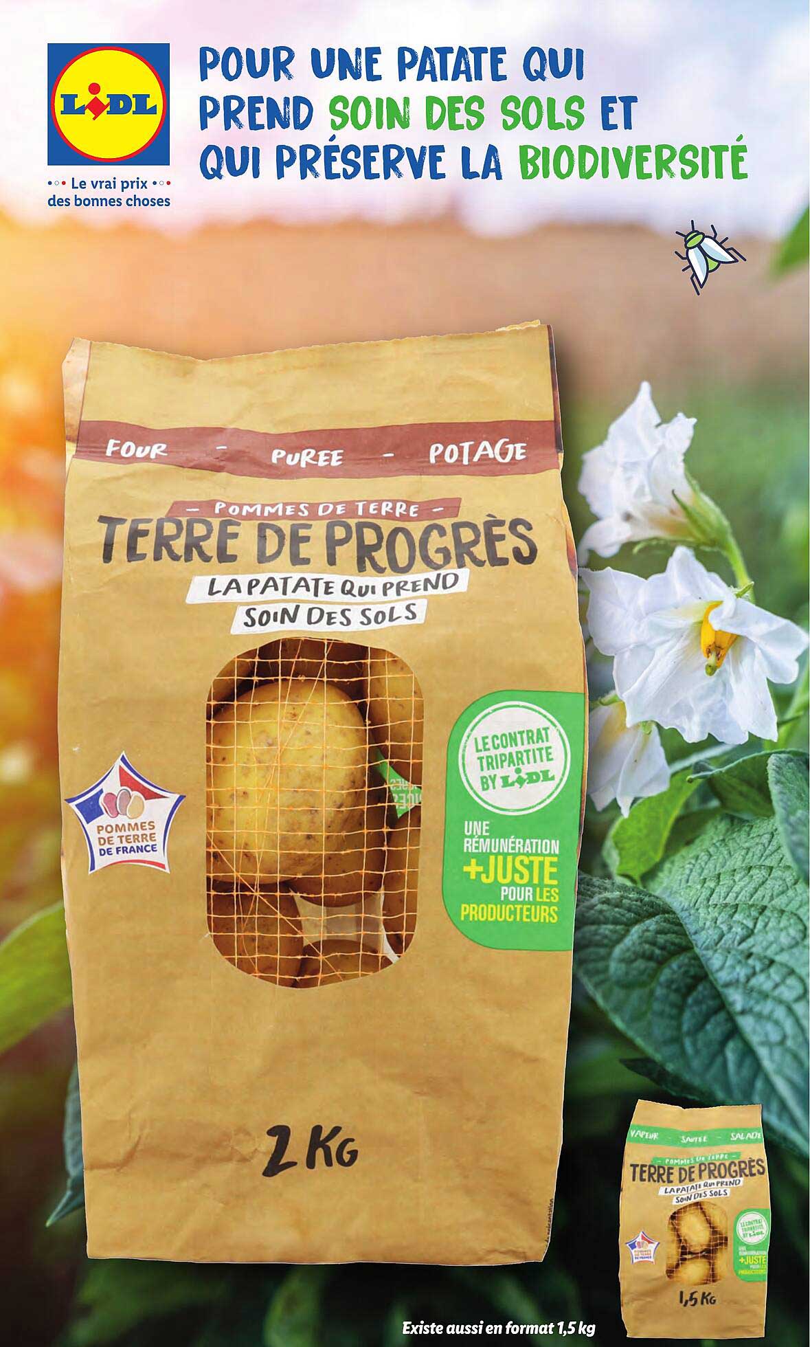 Terre De Progrès
