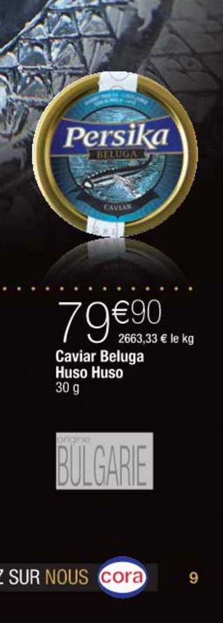 caviar beluga huso huso