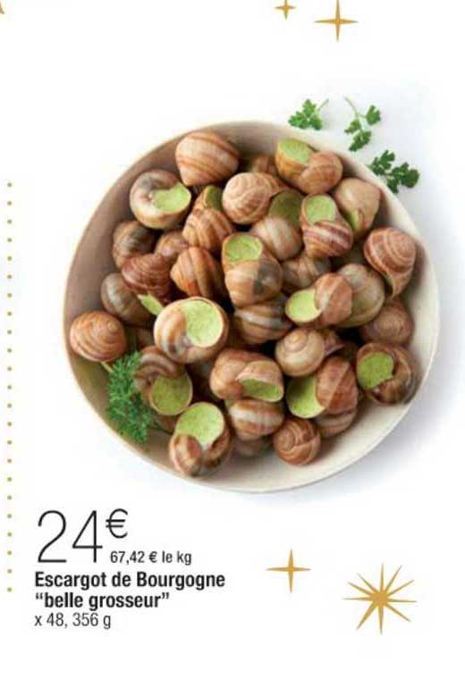 escargot de bourgogne belle grosseur