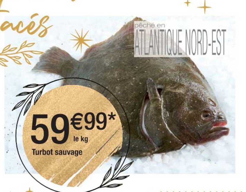Turbot Sauvage