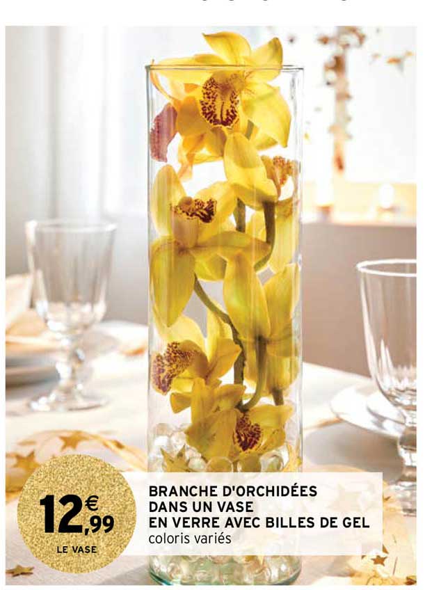 branche d'orchidées dans un vase en verre avec billes de gel