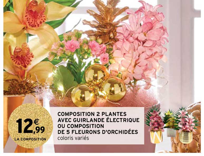 composition 2 plantes avec guirlande électrique ou composition de 5 fleurons d'orchidées