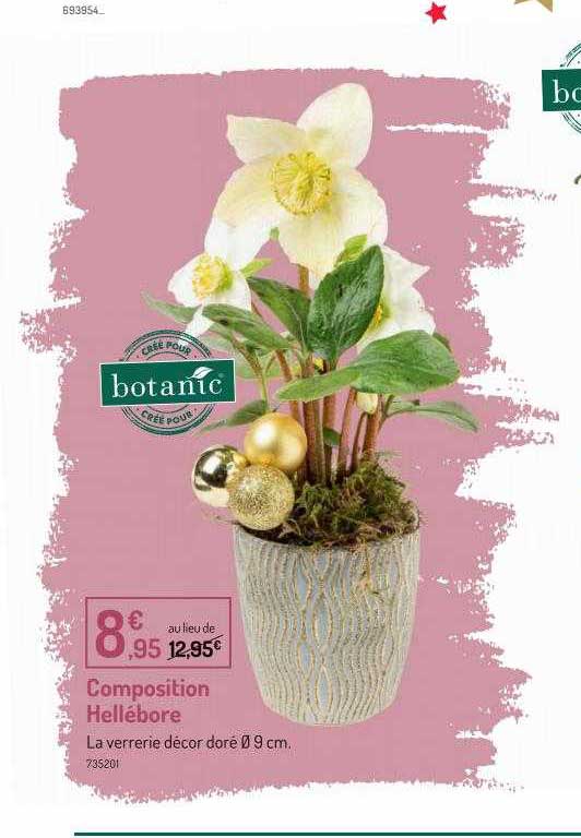 composition hellébore