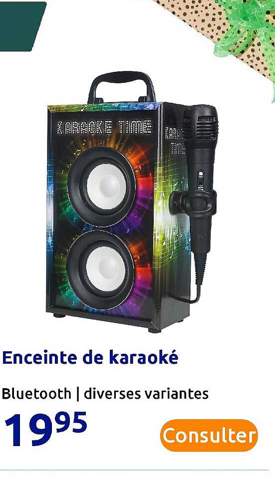 Enceinte De Karaoké