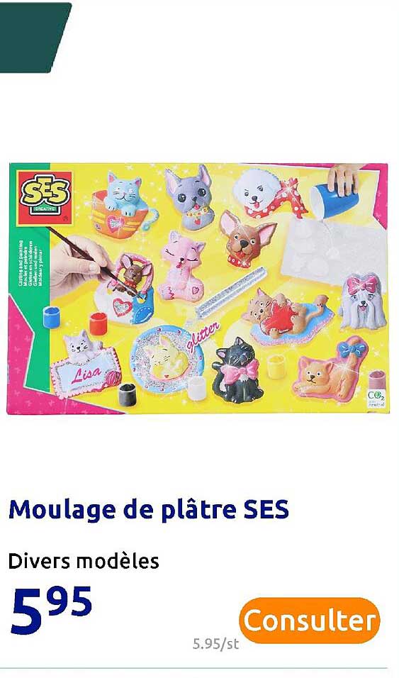 moulage de plâtre ses