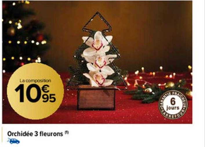 orchidée 3 fleurons