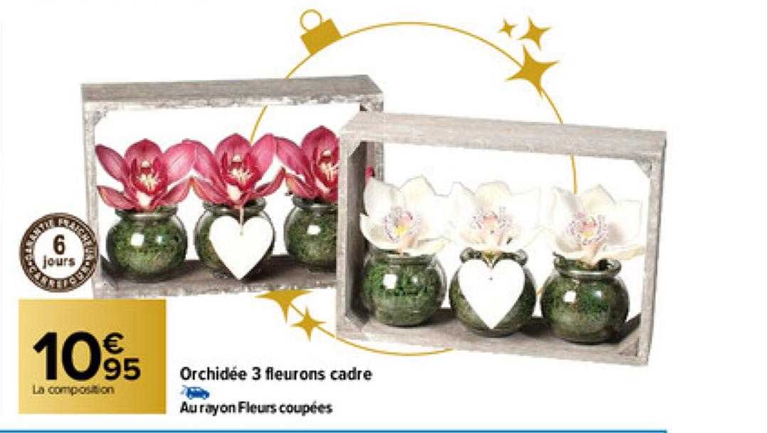 orchidée 3 fleurons cadre