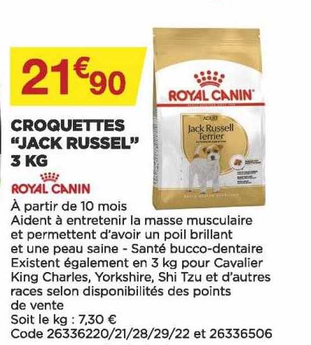 croquettes "jack russel" 3 kg royal canin