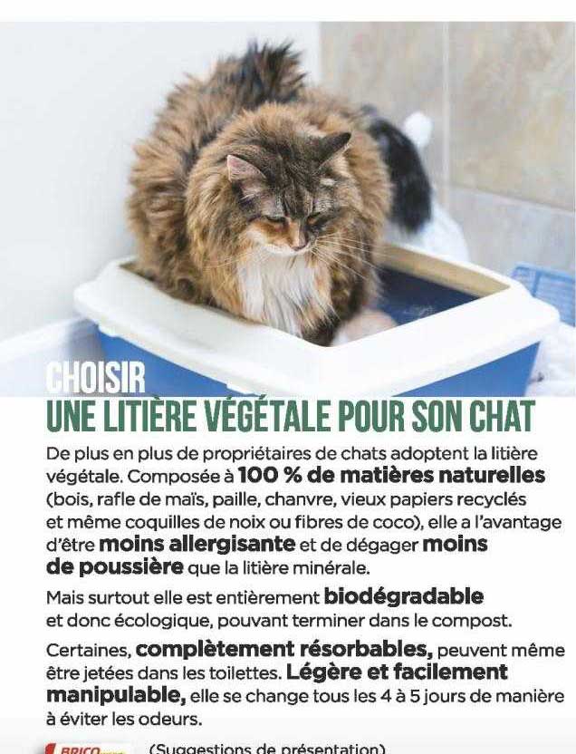 une litière végétale pour son chat