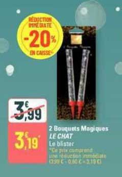 2 bouquets magiques le chat