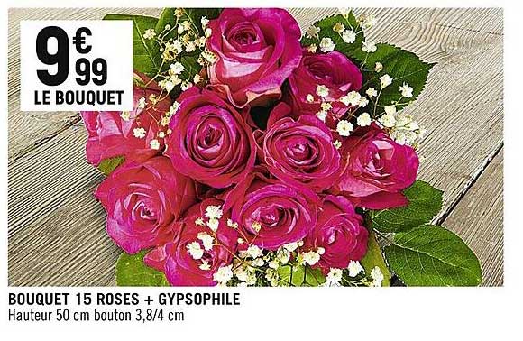 Bouquet 15 Roses + Gypsophile