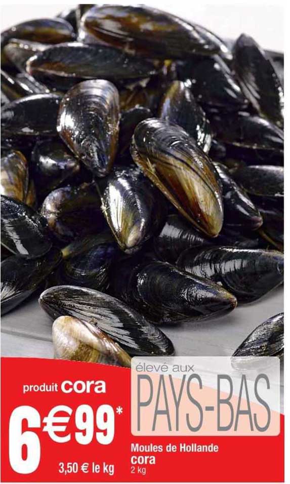 Moules De Hollande Cora
