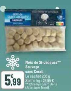 noix de st-jacques sauvage sans corail