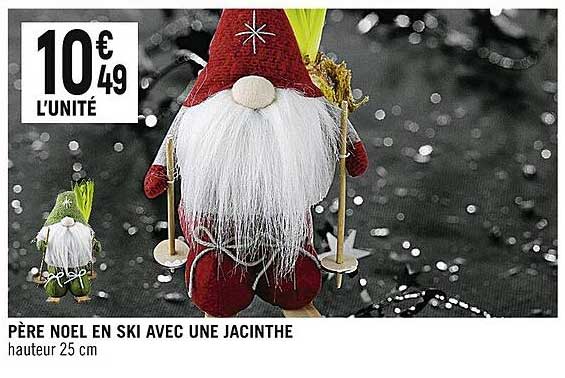père noël en ski avec une jacinthe