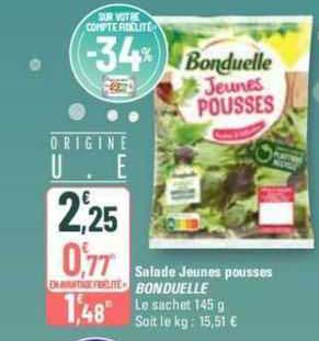 salade jeunes pousses bonduelle