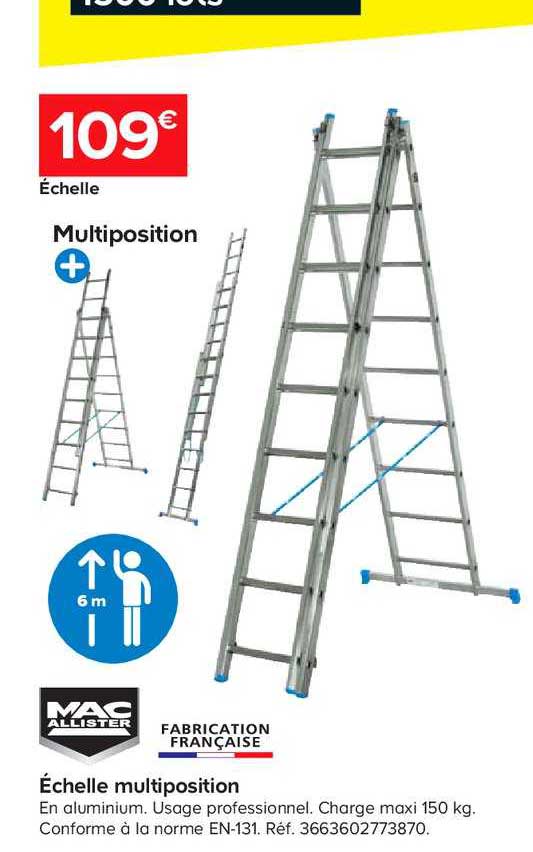 échelle multiposition mac allister