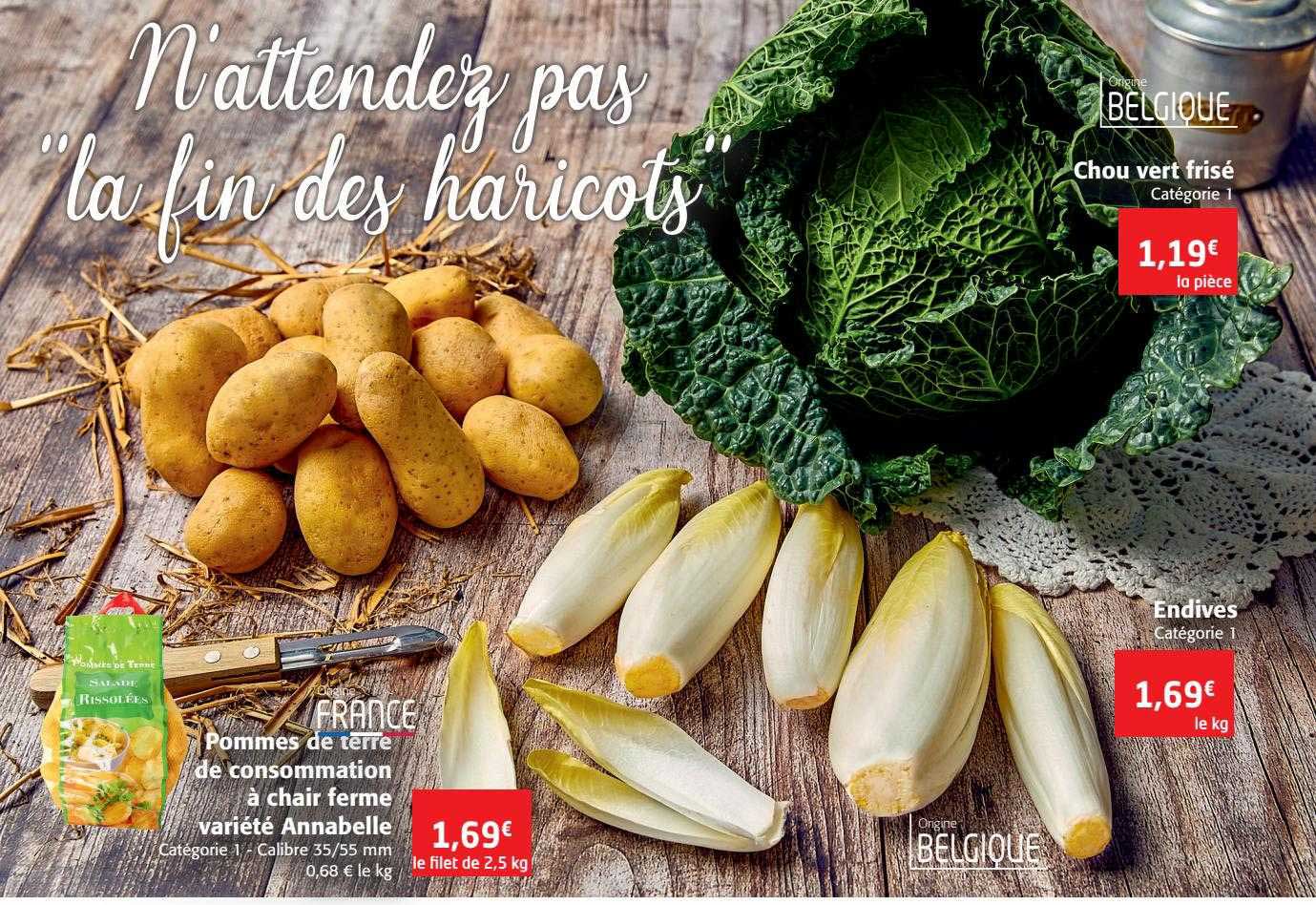 pommes de terre de consommation à chair ferme variété annabelle, endives