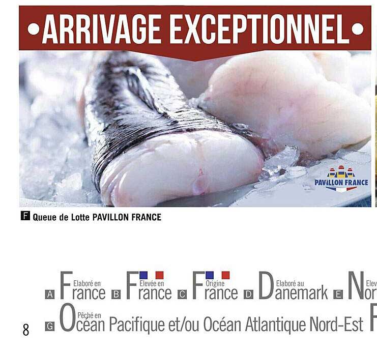 queue de lotte pavillon france