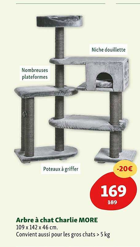 arbre à chat charlie more